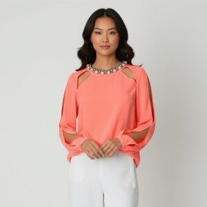 Host Pick! 💖✨🎊 Sheer Blouse with Long Sleeves and Embellished Neckline